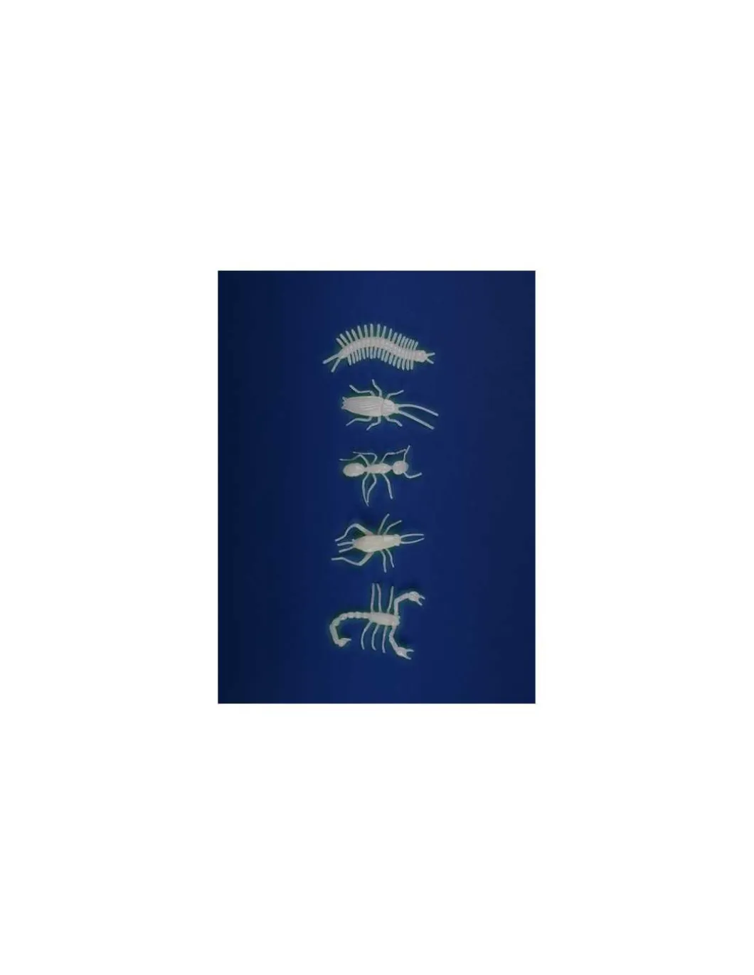 5 insectes phosphorescents - Moulin Roty
