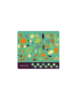 20 P'tits jeux au fil des saisons - Auzou