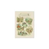 Affiche Le petit jardin Trois Petits Lapins - Moulin Roty