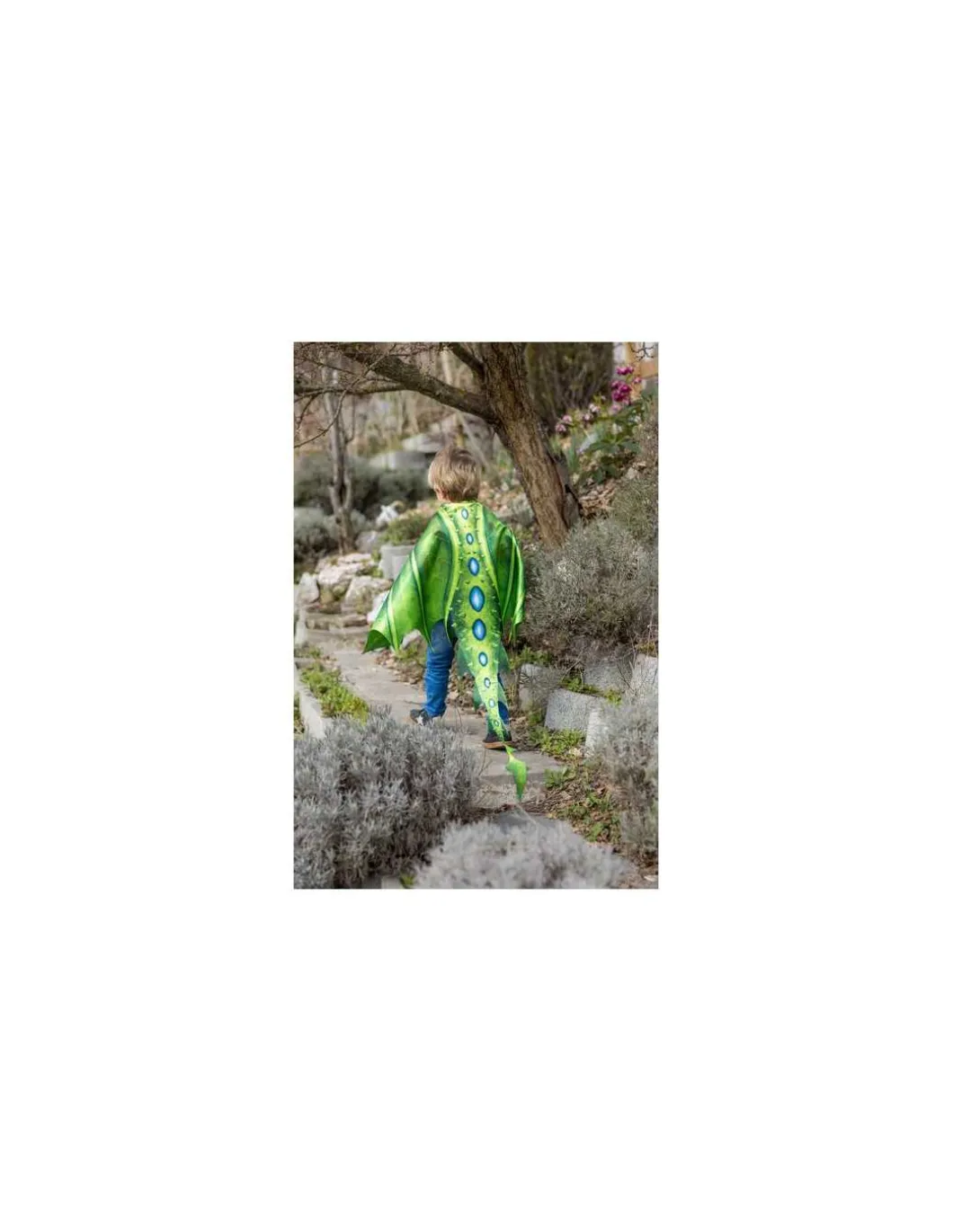 Ailes de dragon vertes 4-6 ans - Great Pretenders