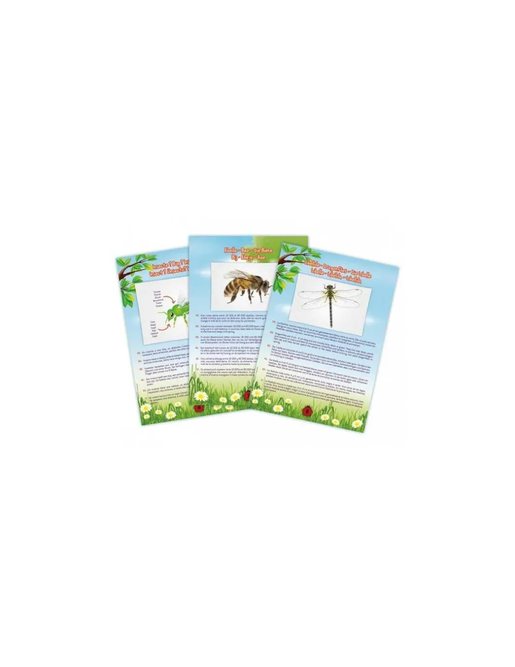 Aspirateur d'insectes - Buki
