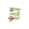 Barrettes Colomba - Djeco