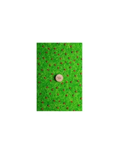 Bouteille sensorielle coccinelles - Petit Boum