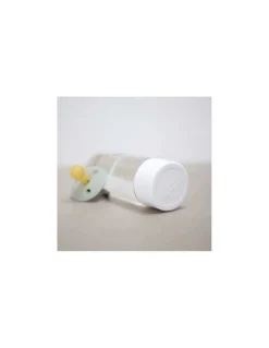 Bouteille sensorielle coquillages - L'atelier gigogne