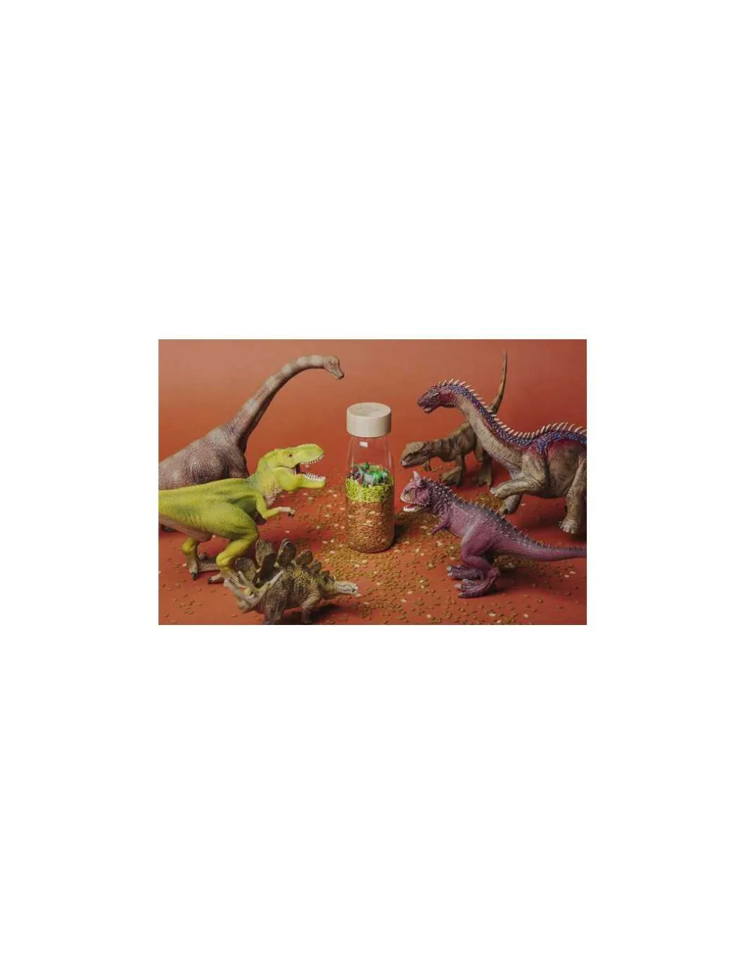 Bouteille sensorielle Jurassic - Petit Boum