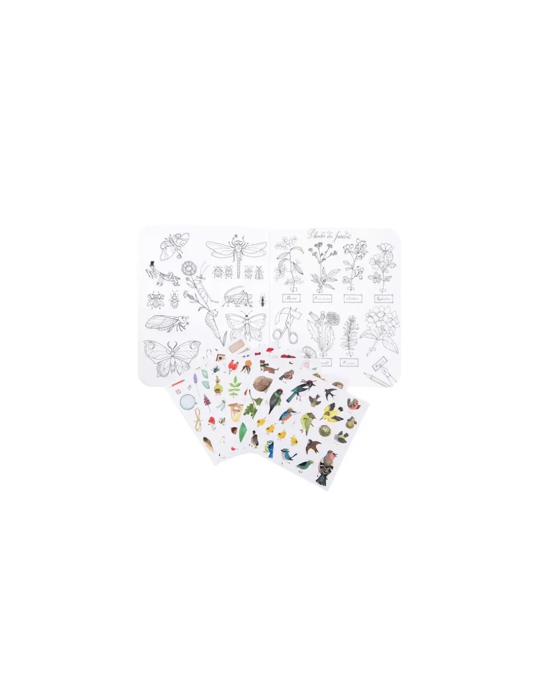 Cahier de coloriage et stickers Le botaniste Le Jardin du Moulin - Moulin Roty