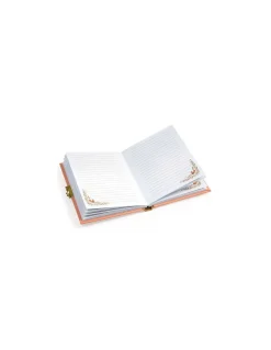 Carnet secret Minico - Djeco