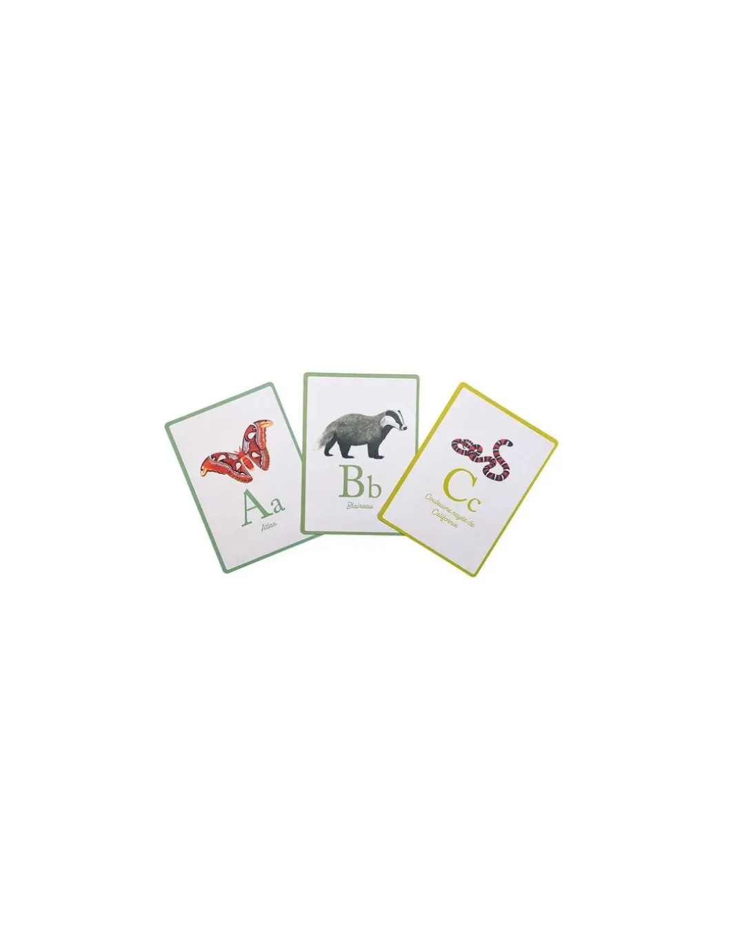 Cartes Abécédaire Tout autour du monde - Moulin Roty