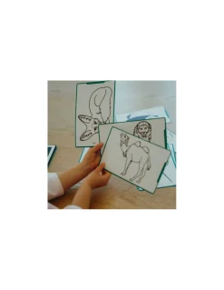 Cartes Kidydraw Mini Animaux et Pirates - Kidywolf