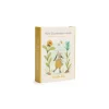 Cartes Mes 12 premiers mois Trois Petits Lapins - Moulin Roty
