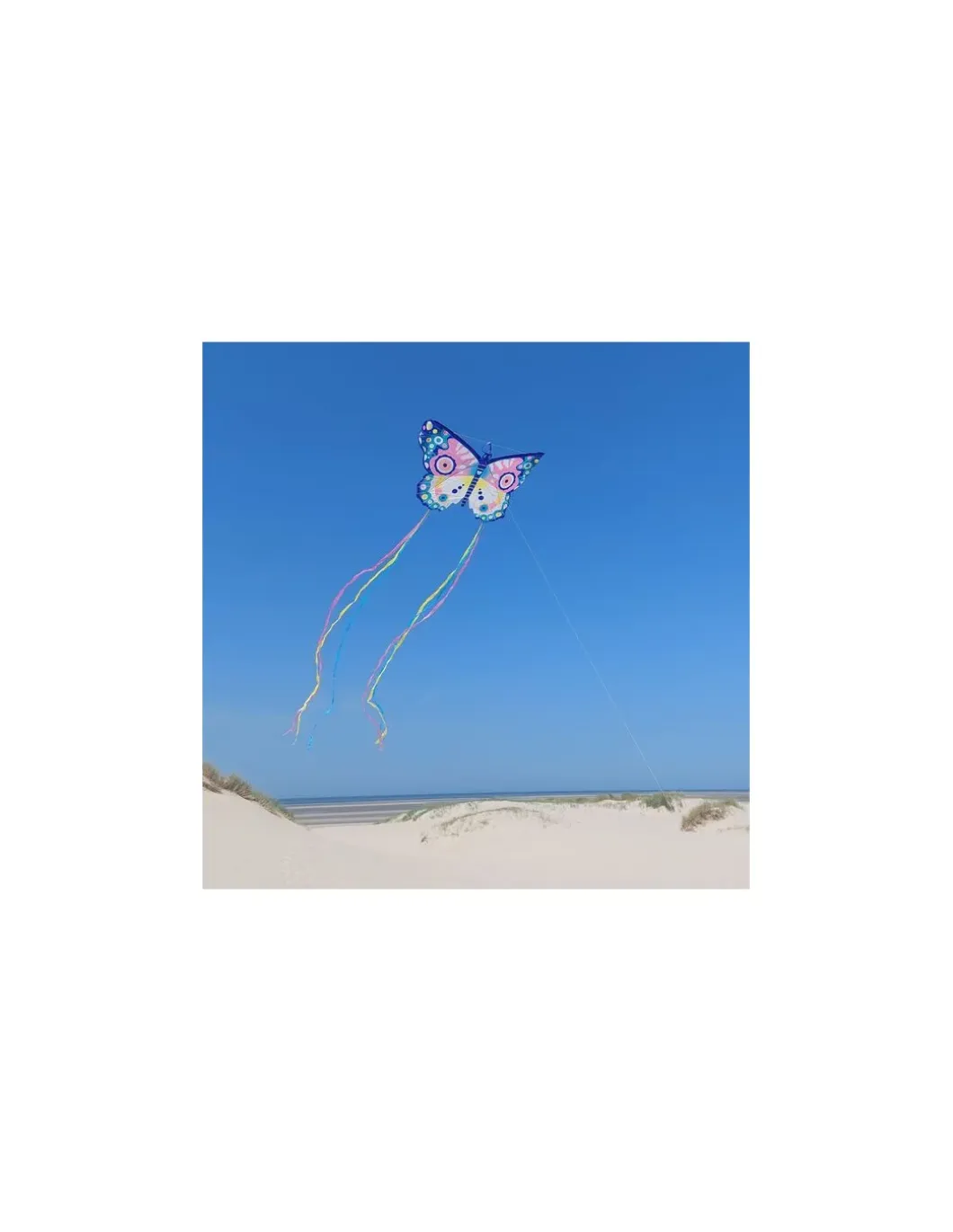 Cerf-volant maxi butterfly - Djeco