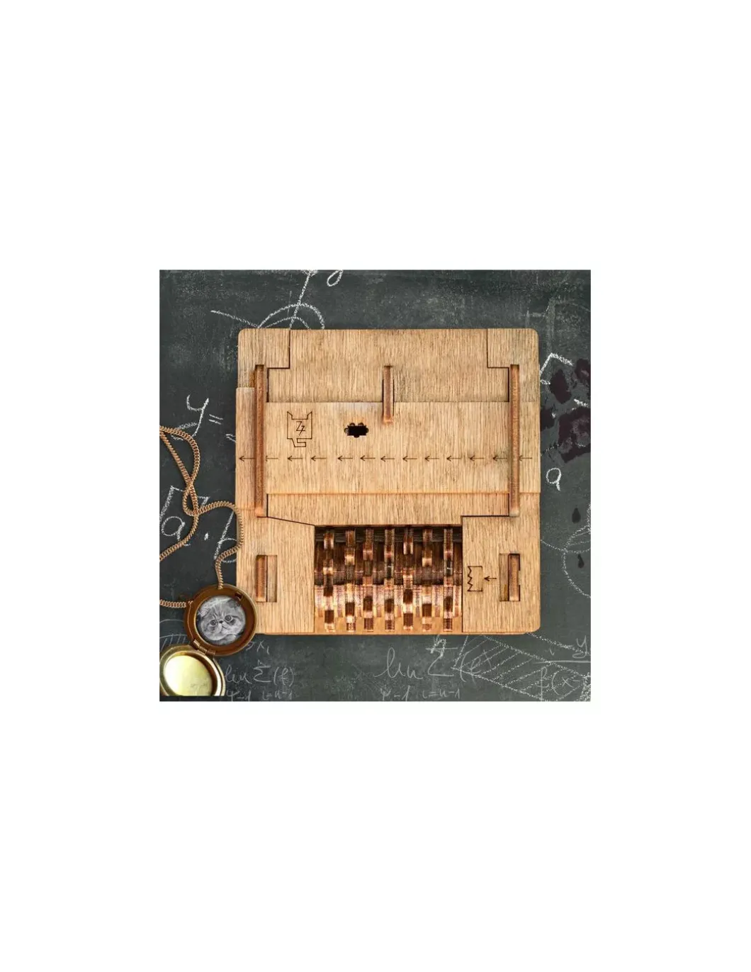 Cluebox Le chat de Schrödinger