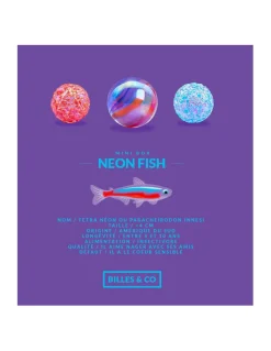 Coffret de 25 billes Neon Fish - Billes & Co