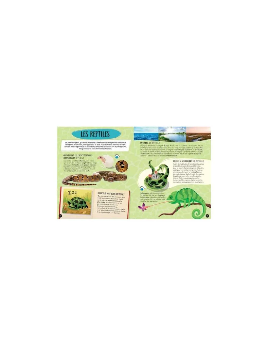 Coffret du méga atlas des animaux - Sassi