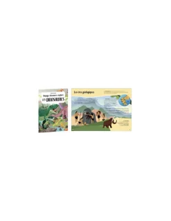Coffret livre et puzzle Les dinosaures - Sassi