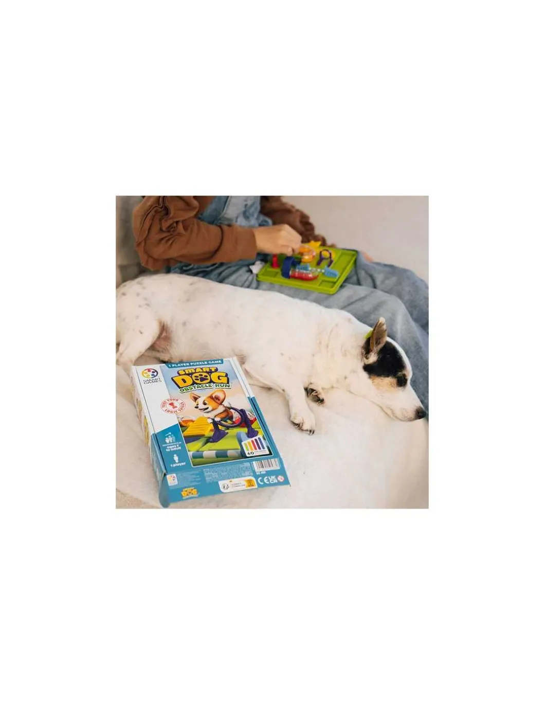 Corgi chien agile - Smartgames