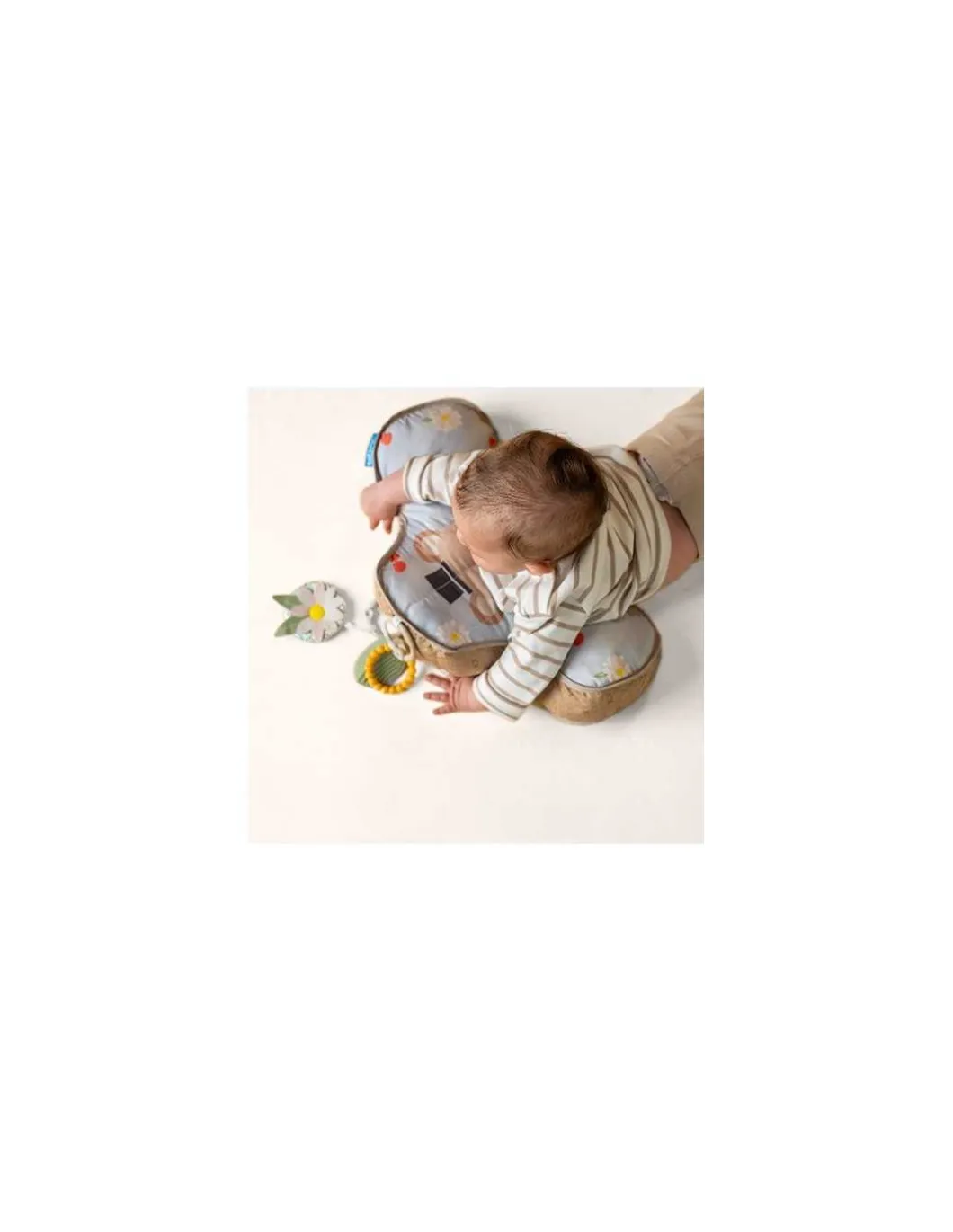 Coussin ours Tummy Time - Taf Toys
