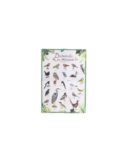 Découverte des oiseaux Le Jardin du Moulin - Moulin Roty