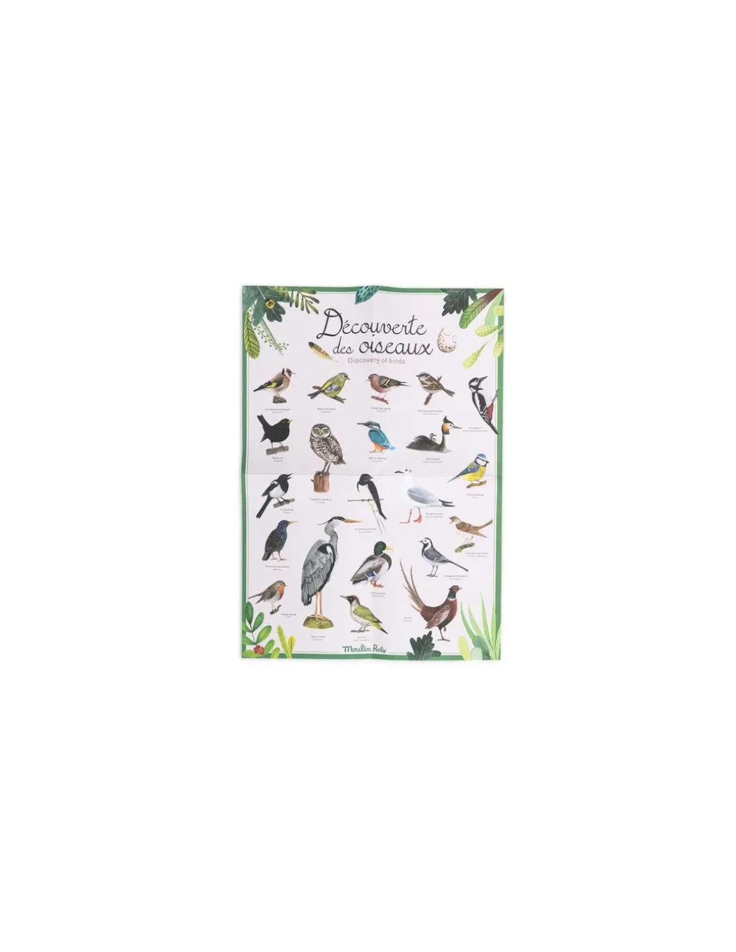 Découverte des oiseaux Le Jardin du Moulin - Moulin Roty
