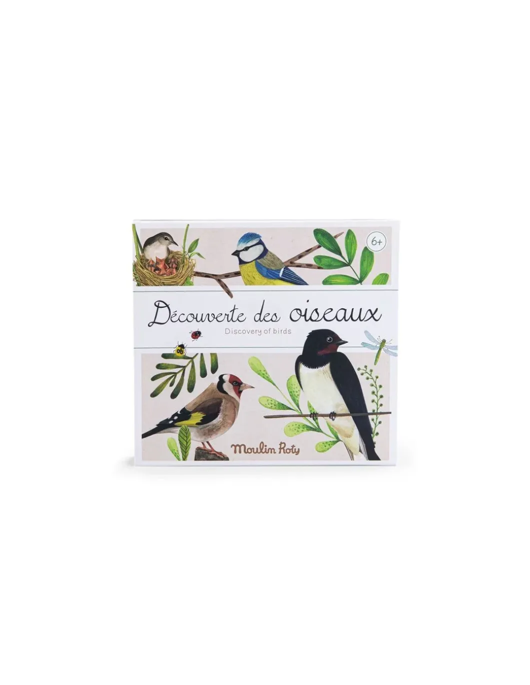 Découverte des oiseaux Le Jardin du Moulin - Moulin Roty