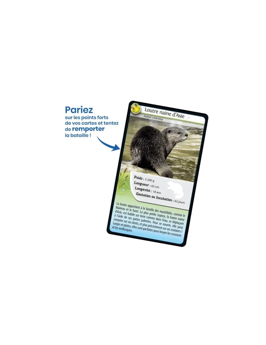 Défis nature Animaux d'eau douce - Bioviva