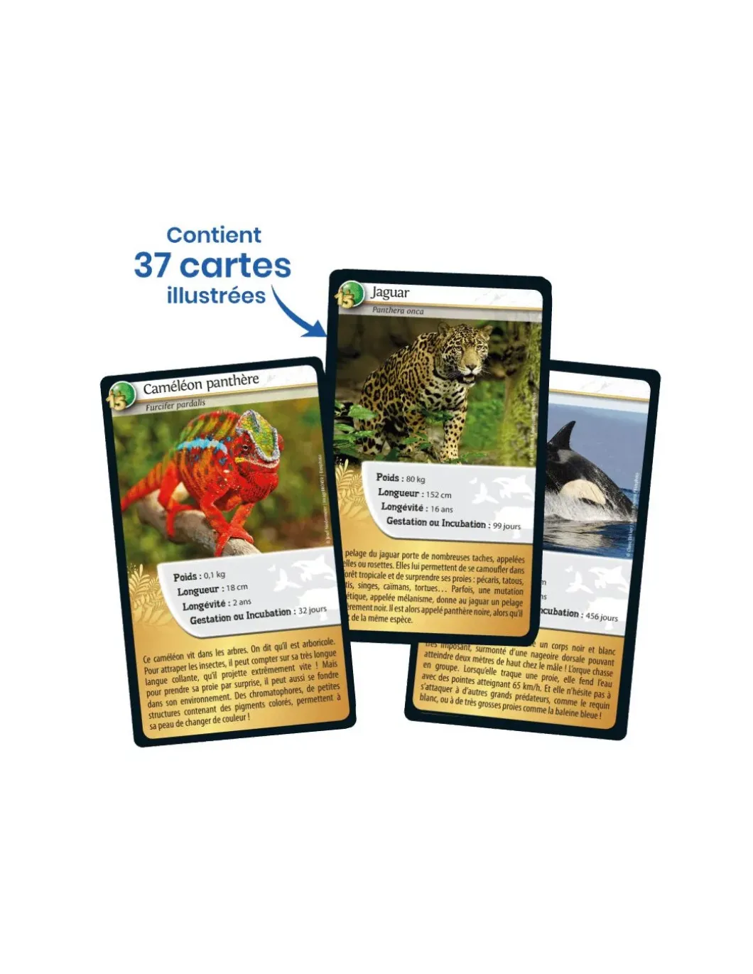 Défis nature 15e Anniversaire - Bioviva