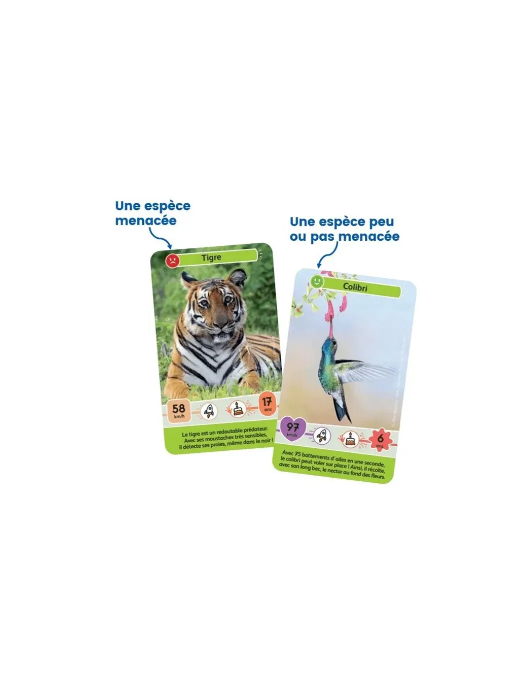 Défis nature junior Mystères de la jungle - Bioviva