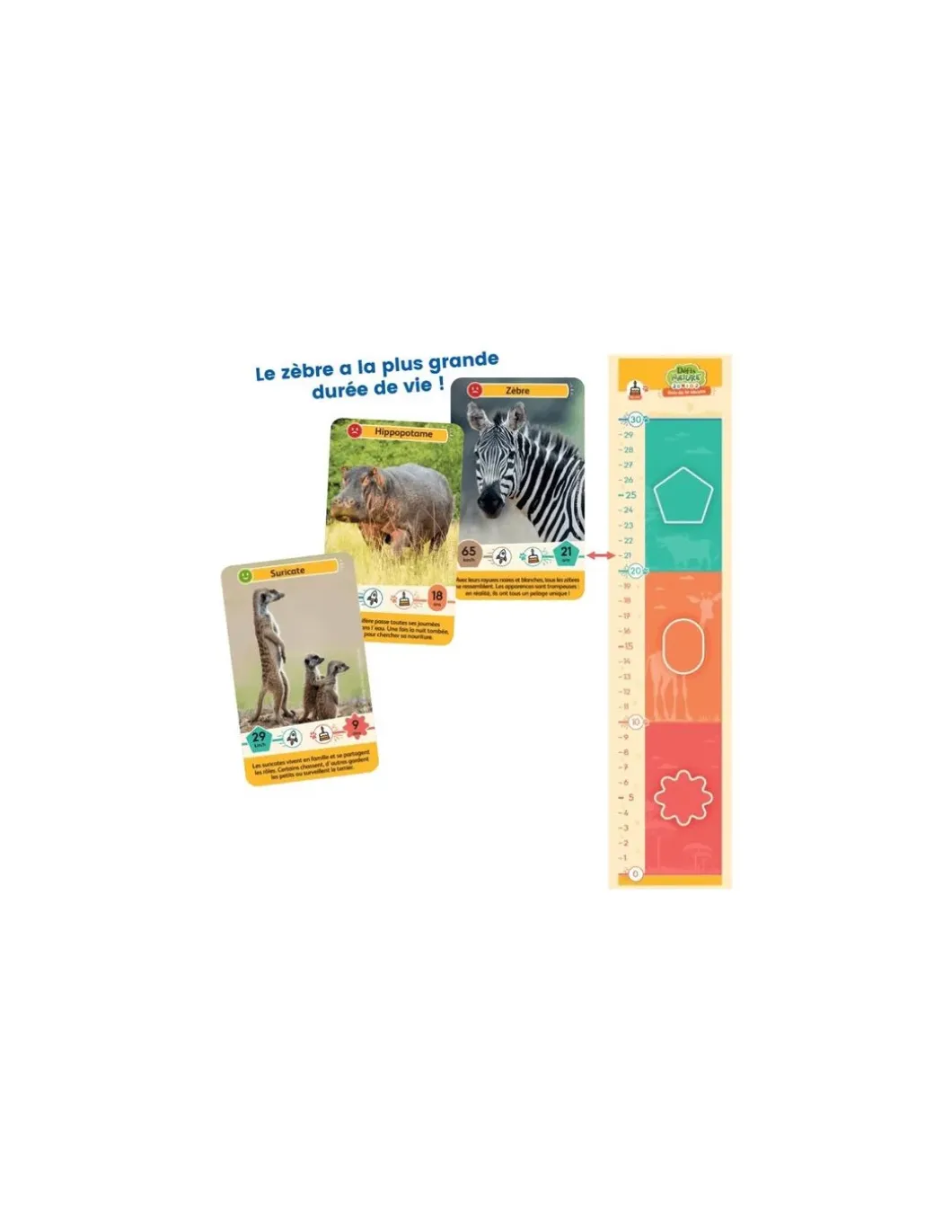 Défis nature junior Rois de la savane - Bioviva