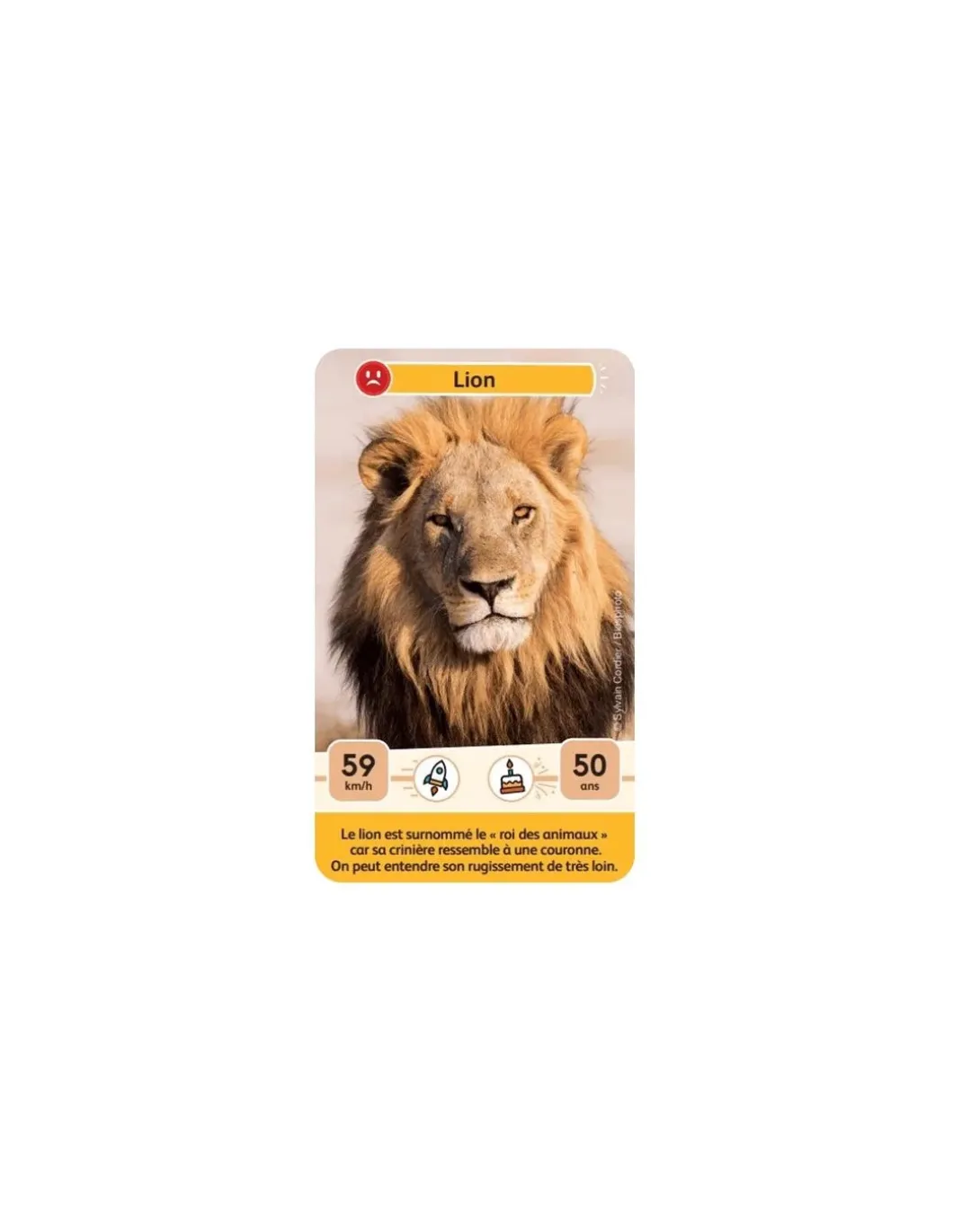 Défis nature junior Rois de la savane - Bioviva