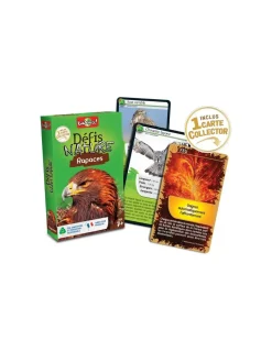 Défis nature rapaces - Bioviva