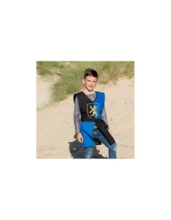 Déguisement chevalier Richard 5-7 ans - Labay