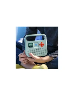 Enceinte Merlin