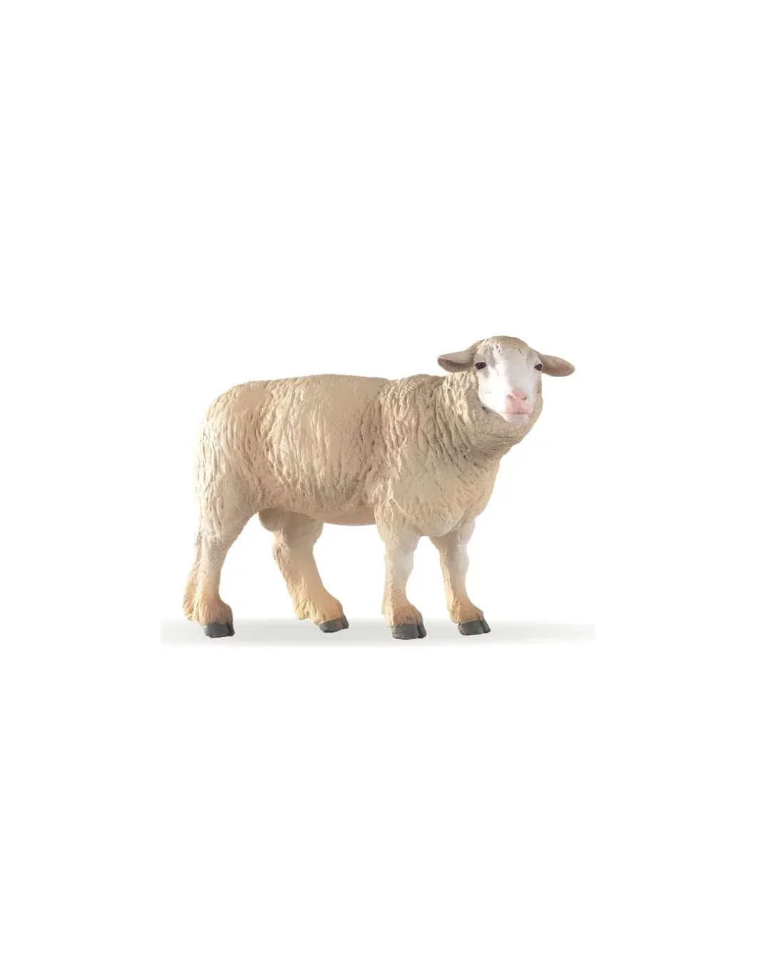 Figurine brebis mérinos - Papo
