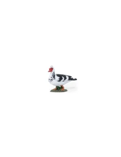 Figurine canard de Barbarie - Papo