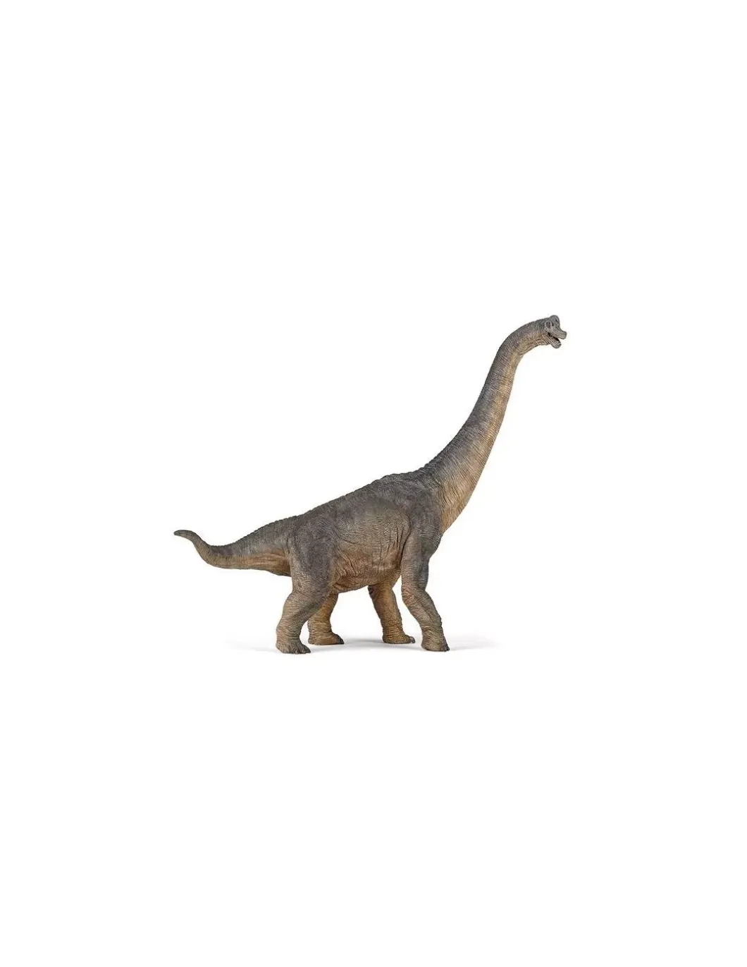 Figurine dinosaure brachiosaure - Papo