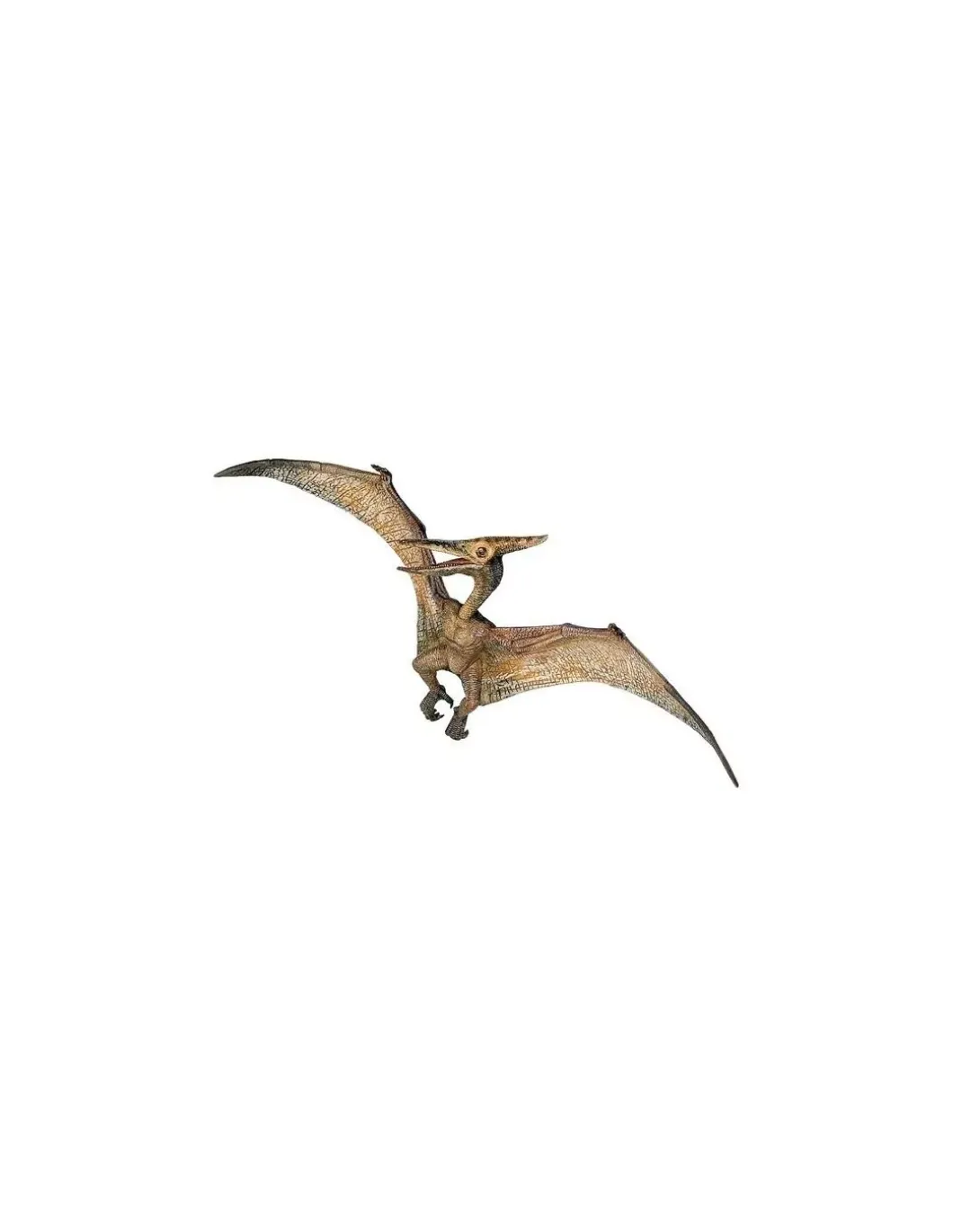 Figurine dinosaure ptéranodon - Papo