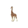 Figurine girafe mâle - Papo