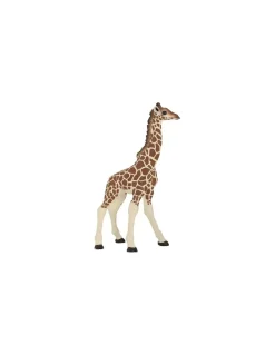 Figurine girafon - Papo