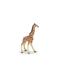 Figurine girafon - Papo