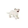 Figurine lionceau blanc - Papo