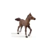 Figurine poulain anglo arabe - Papo