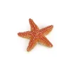 Figurine étoile de mer - Papo