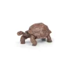Figurine tortue des Galápagos - Papo