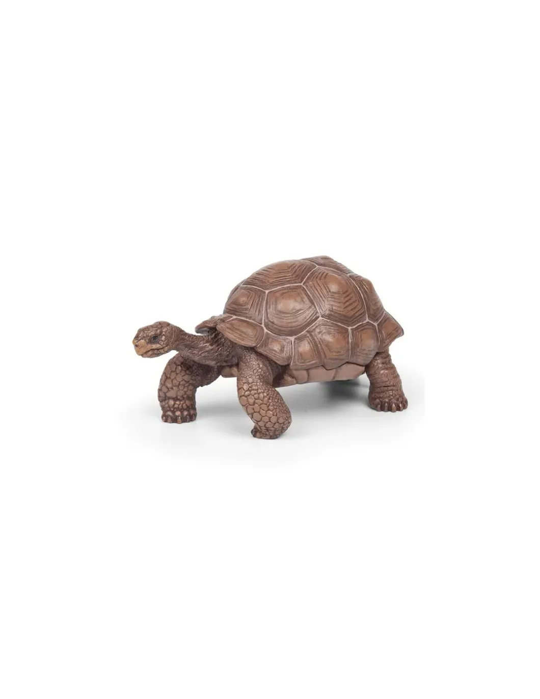 Figurine tortue des Galápagos - Papo