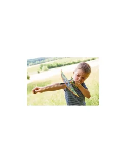 Fronde oiseau - Terra Kids
