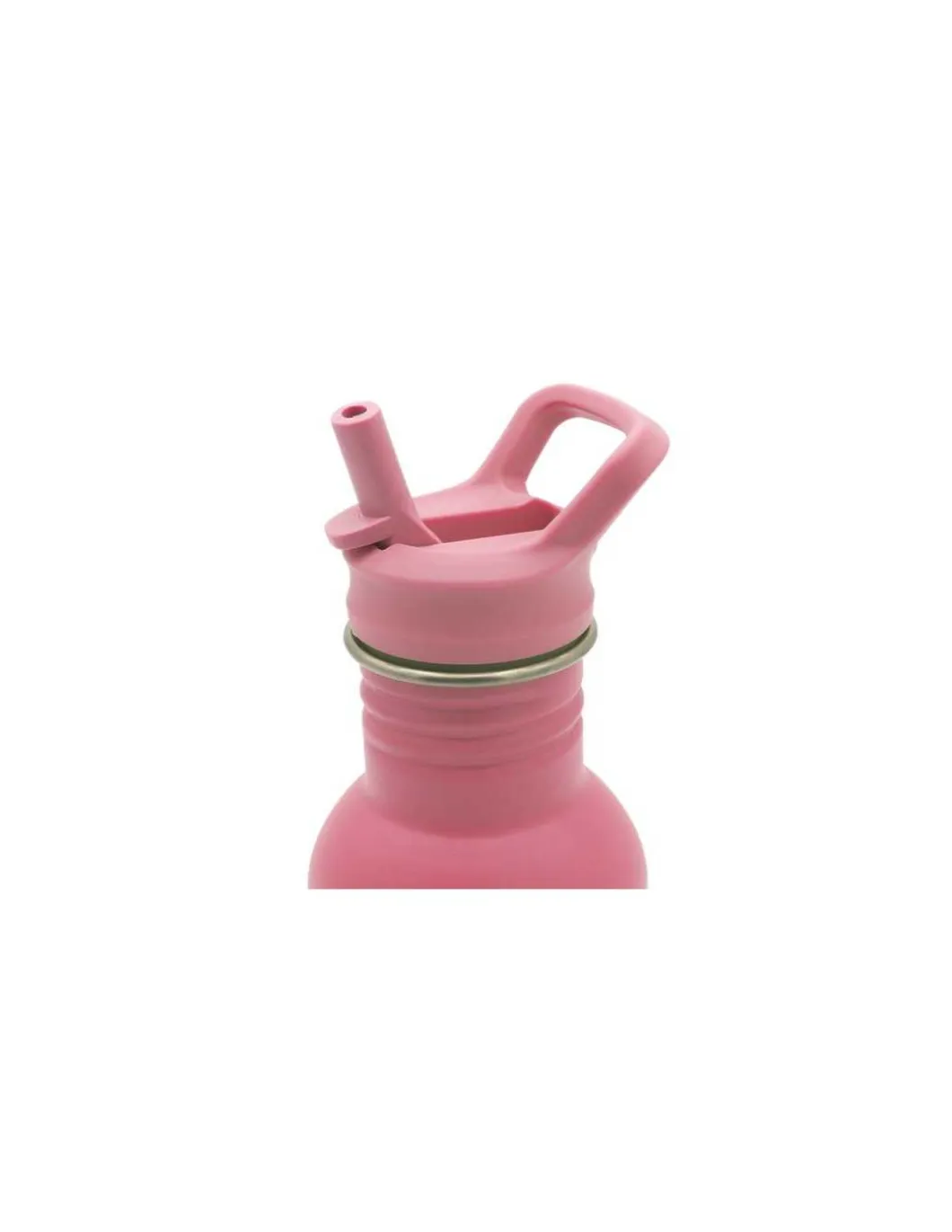 Grande gourde Fluffy le lapin - Sassi