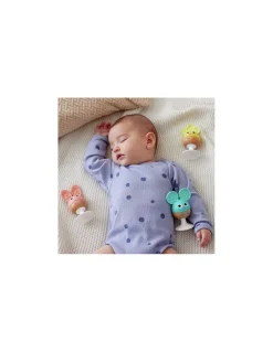 Hochets à ventouse Animaux - Hape
