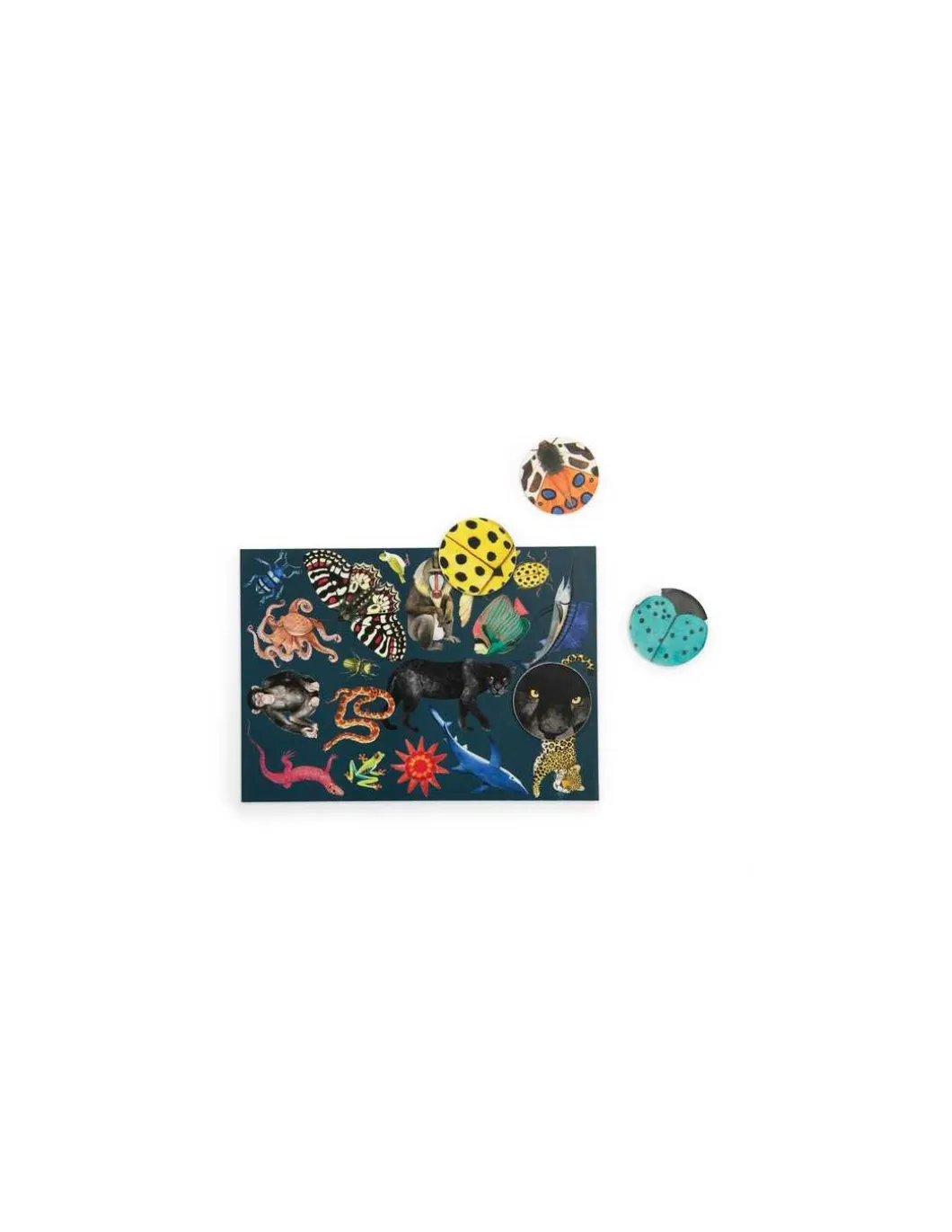 Jeu cherche et trouve Tout autour du monde - Moulin Roty