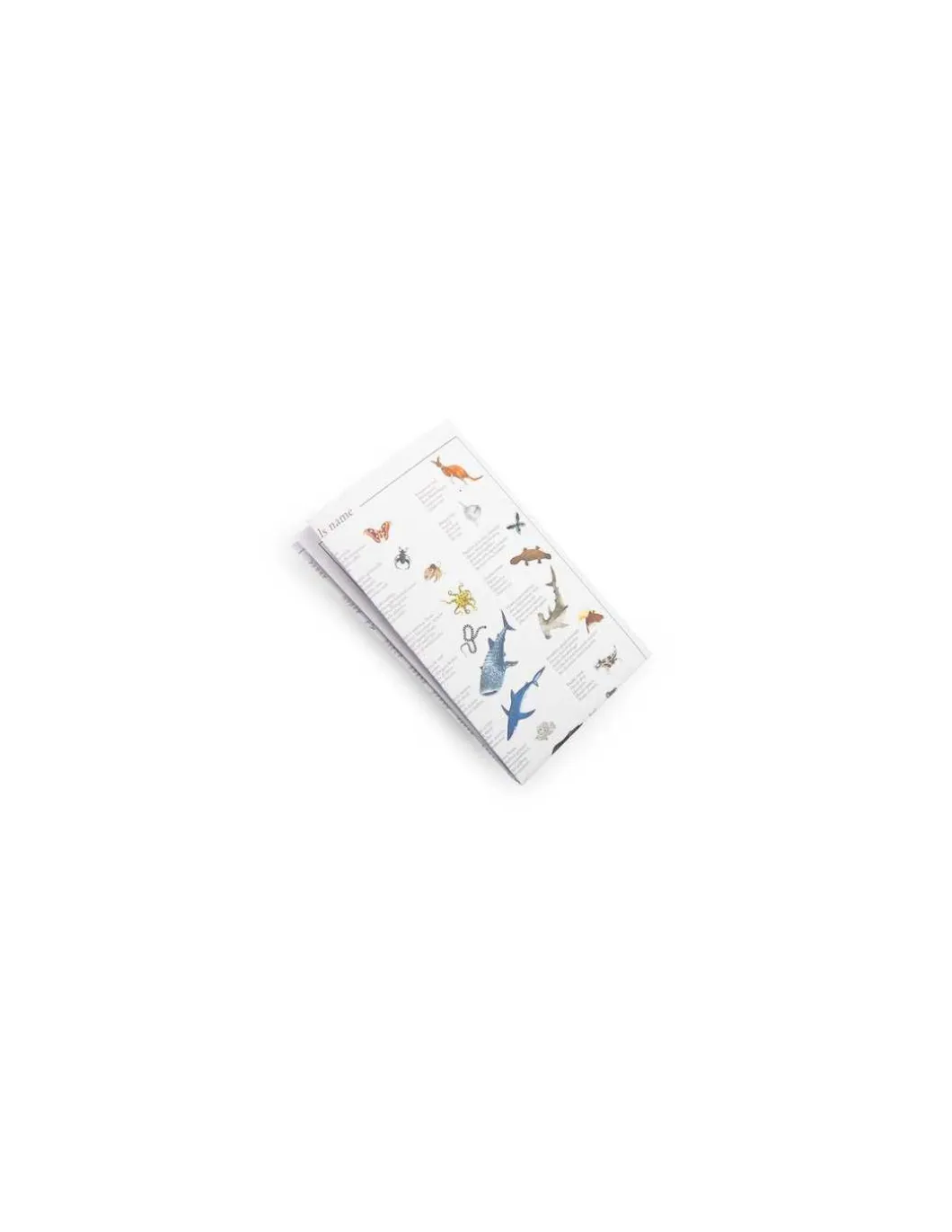 Jeu cherche et trouve Tout autour du monde - Moulin Roty