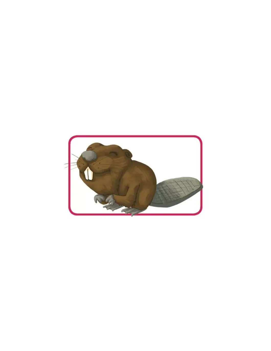 Jeu Concept kids animaux